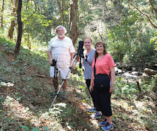 Forest trail · Birders on tour